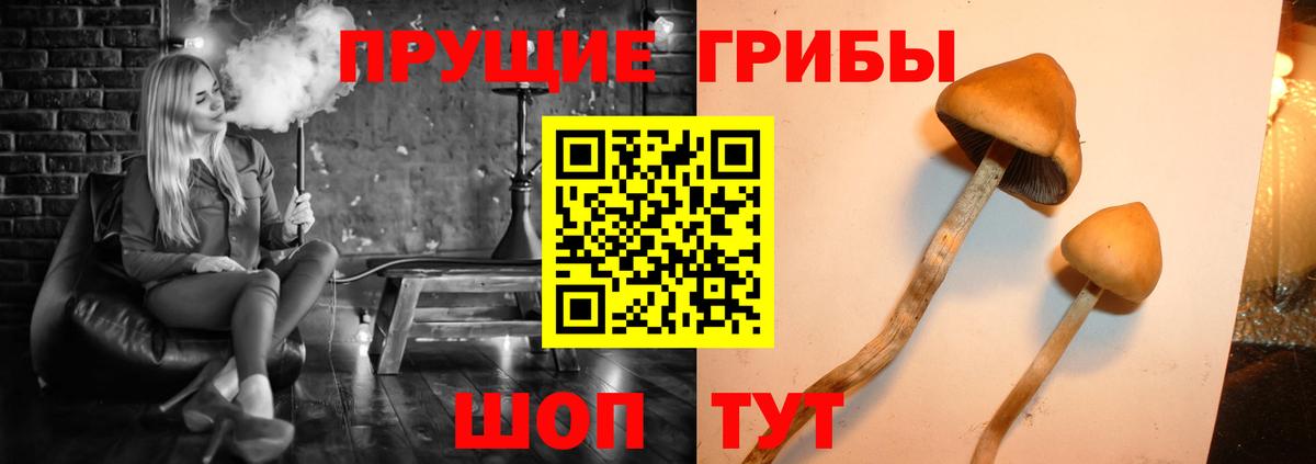 Лесной  Псилоцибиновые грибы Cubensis  магазин продажи наркотиков  Вход с VPN 